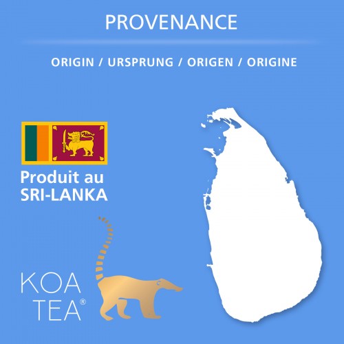 Thé noir Special Edition de la marque KOATEA® Réf. KOATEA312 | Thés noirs | 466