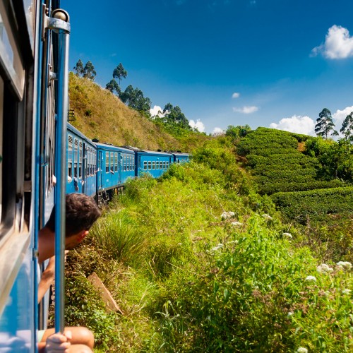 Thé noir Special Edition de la marque KOATEA® Réf. KOATEA312 | Thés noirs | 468