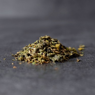 Marrakech Mint Green Tea