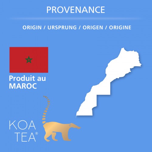 Thé Vert Marrakech Mint de la marque KOATEA® Réf. KOATEA47 | Thés verts | 582