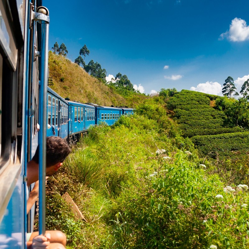 Thé Noir Ceylan OP de la marque KOATEA® Réf. KOATEA04 | Thés noirs | 652