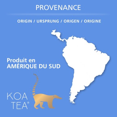 Rooibos d'Été aux Agrumes de la marque KOATEA® Réf. KOATEA116 | Rooibos - Lapacho | 732